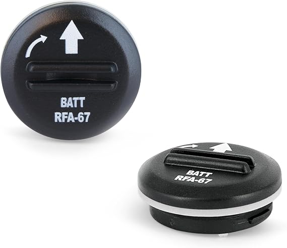 PetSafe RFA-67 6V Replacement Battery, 2-Pack