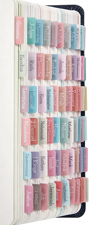 Cream Pastel Bible Tabs, Laminated Bible Tabs for Women and Girl, 90 Bible Tabs Old and New Testament, Includes 24 Blank Tabs, Bible Journaling Supplies, Bible Book Tabs, Christian Gift