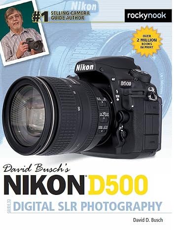 David Buschs Nikon D500 Guide to Digital SLR Photography (The David Busch Camera Guide Series)