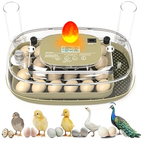 Incubator for Hatching 24 Eggs-Eggs Capacity, Auto Egg Turner & New Auto Precision Humidity Control System, 360° Clear Viewing for Chicken, Duck and Quail