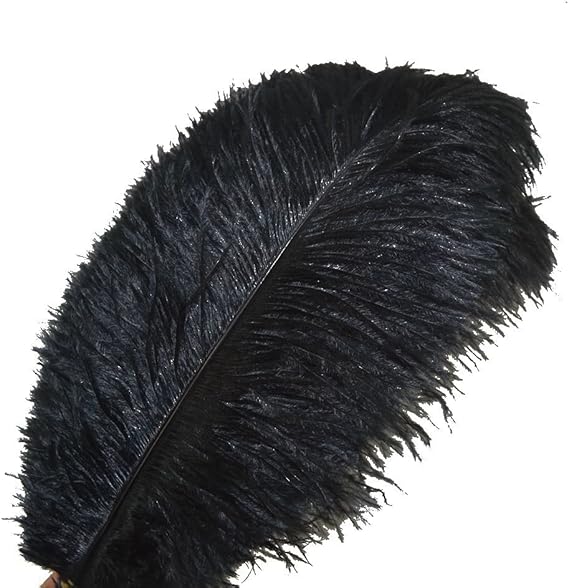 Sowder 10pcs Ostrich Feathers 12-14inch(30-35cm) for Home Wedding Decoration(black)