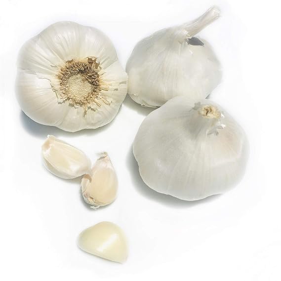 Kejora Fresh Garlic Bulbs - Qty: 5 Bulbs