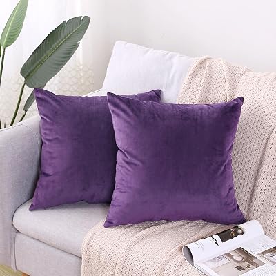 2 Pack Soft Velvet Couch Throw Pillow Covers 20x20 Inch for Sofa Living Room Bedroom Purple