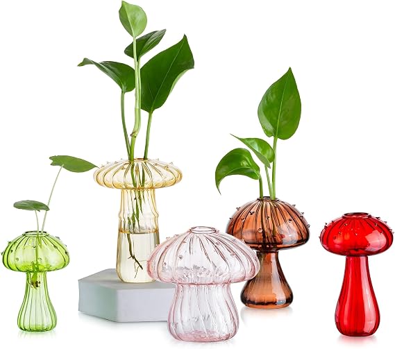 Glasseam Mushroom Plant Propagation Station: 5 Pcs Glass Mini Terrarium