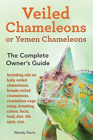 Veiled Chameleons or Yemen Chameleons as pets. info on baby veiled chameleons, female veiled chameleons, chameleon cage setup, breeding, colors, facts, food, diet, life span, size.