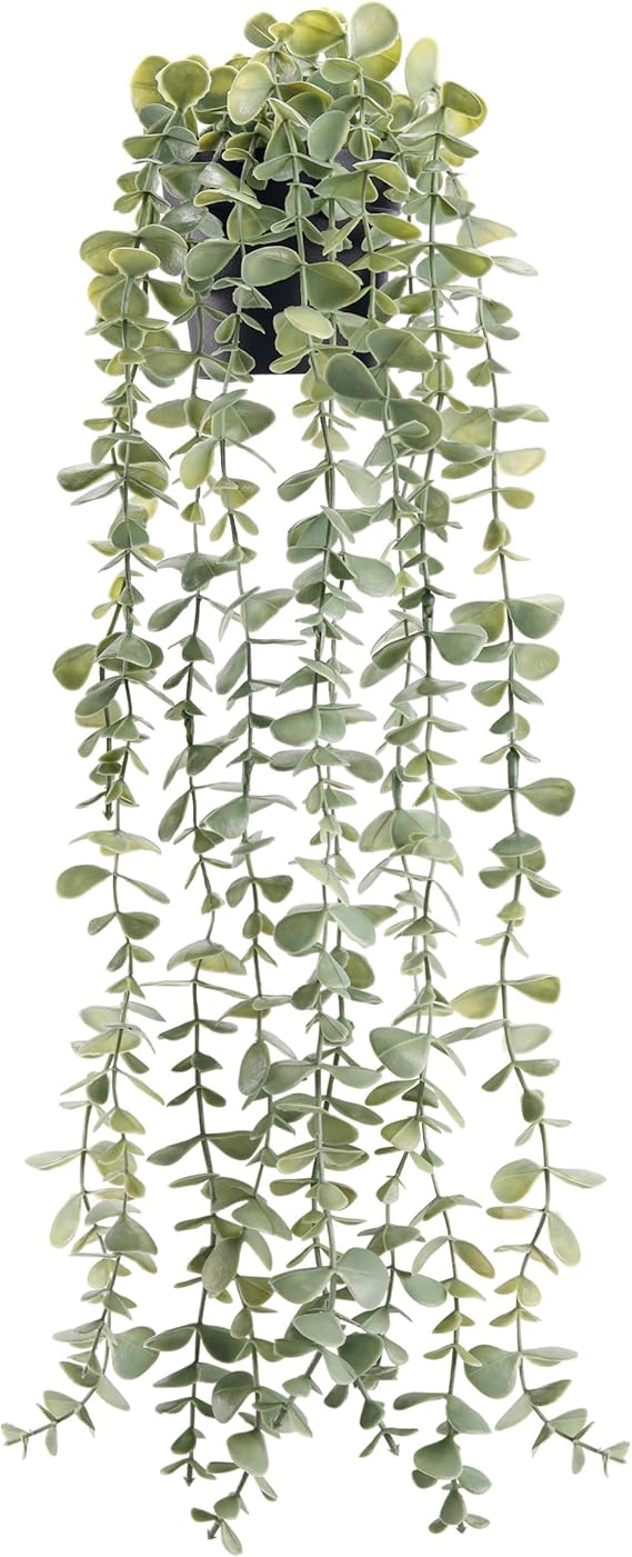 Der Rose 24" Fake Hanging Eucalyptus Plant for Bathroom Wall Art Decor