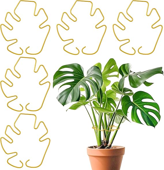 Monstera Plant Support for Indoor Plants Metal Plant Stem Holder Plant Support Ring for Climbing Plants Stem Stabilizer (6.29 * 7.08inch/ 5)