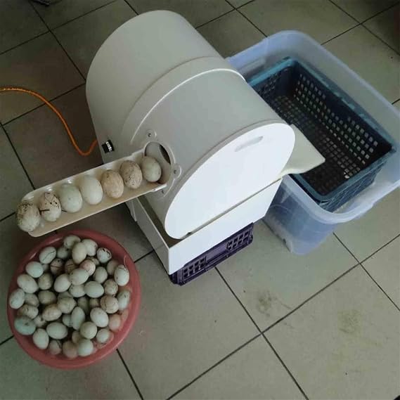 Automatic Egg Washer Machine, Electric Egg Washing Machine, Egg Surface Cleaning, 2300 Pcs/H Chicken Duck Goose Egg Egg Cleaner Wash Machine (Color : 220V)