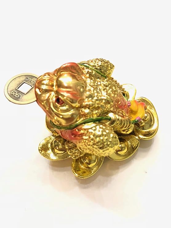 feng shui Mylucky Three Legged Toad Money Frog on The Yuan Bao to Attract Wealth and Good Luck