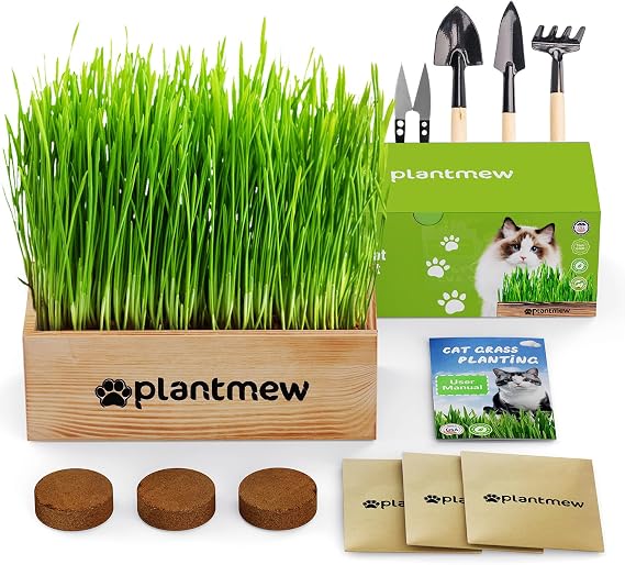 Cat Grass Kit for Indoor Cats - 3 Pack with Cat Grass Seeds, Nutrient Soil & Planter Pots | Complete Growing Set for Fresh Pet Grass (Non-GMO Wheat Grass)