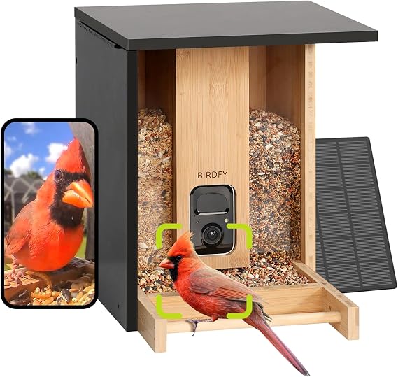 Birdfy Smart Bird Feeder with Camera, Solar Powered, Permanent AI Identify 6000+ Bird Species & Auto Record 2K Video, Upgraded Durable Bamboo Wood, Ideal Gift