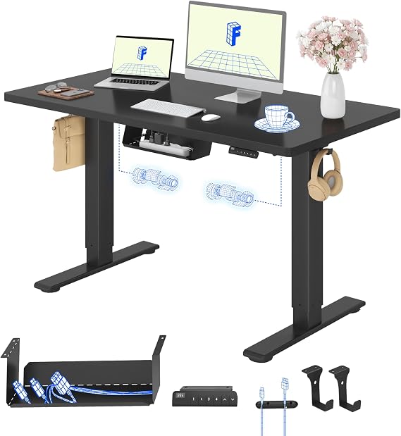 FLEXISPOT E1 Pro Electric Standing Desk with 2 Motors, ONE PIECE 120x60cm, Sit Stand Table Height Adjustable Desk with Memory Smart Pannel for Home Office,Black+Black