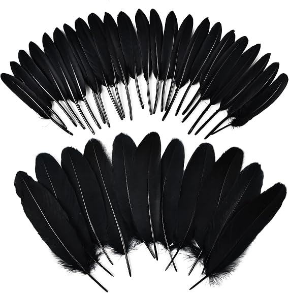 iHUFeather 270pcs Black Goose Feathers for Crafts 2 Styles 4-7 inch Bulk Natural Feathers for DIY Cosplay Wedding Party Halloween Decoration
