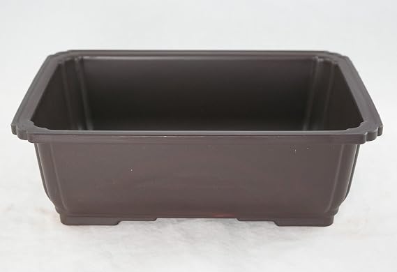 Rectangular Dark Brown Plastic Bonsai Training Pot, Cactus & Succulent Planter - Outside Dimensions: 10.5"x 7.75"x 3.5" (A-1)