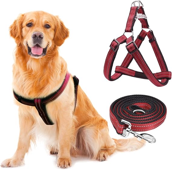Reflective No-Pull Dog Harness and Leash Set for Small Dogs - Quick-Release Buckle, Adjustable Step-in Design with Double D-Rings for Walking, Running, Training Vest Puppy Harness (Red)