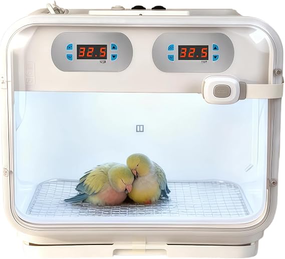 Eco Portable Bird Brooder and Recovery Incubator | Dual temperature display, automatic circulating air, suitable for roosters, birds, newborn puppies/cats
