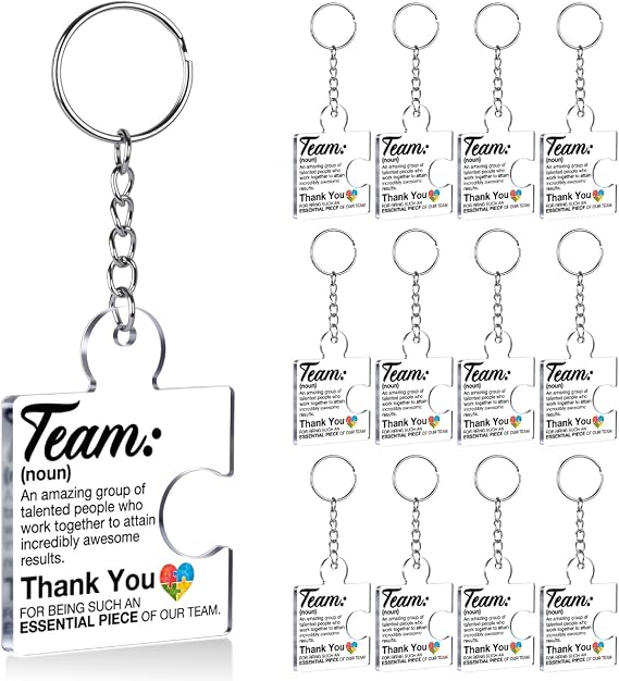 Team Appreciation Gifts Bulk Thank You Keychains for Coworkers