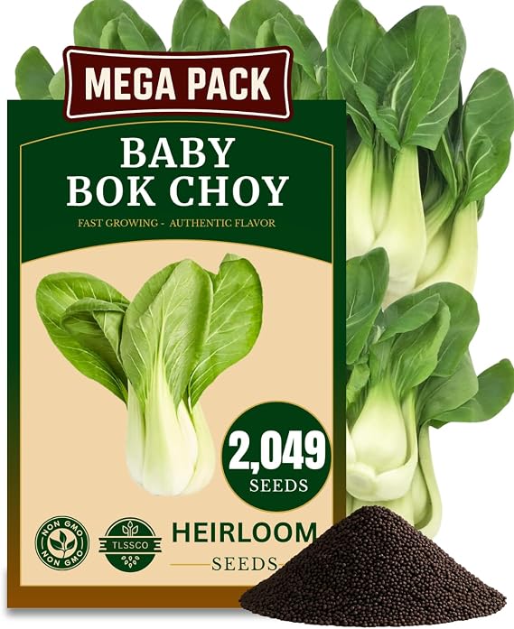 2000+ USA Premium Baby Bok Choy Seeds for Planting, Non-GMO Seeds Easy to Grow, Low Maintainance, Authentic Flavor High-Yielding, Heirloom