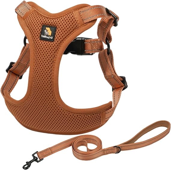 BELLA & PAL Dog Harness and Leash Set, Adjustable Step-in Puppy Harness, No-Pull Vest for XS/Small/Medium Dog, Breathable Air Mesh, Reflective Strip, Secure Buckle Closure, Dual D-Rings