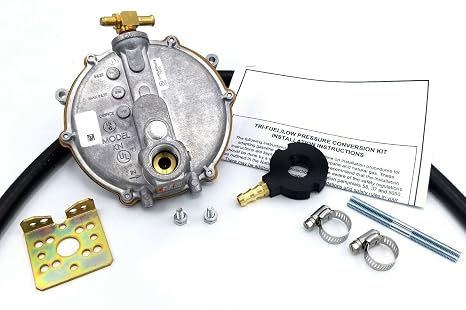 Natural Gas Propane Gasoline Fits Briggs Powermate Pm125500 30430A-R 276016 30430