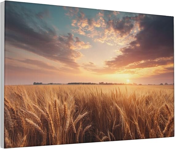 Dreamy Landscape Vast Golden Wheat Field Canvas Wall Art Aesthetic Poster Print Painting For Dorm Living Room,12x18 Inch Framed