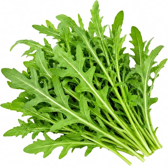 Arugula Seeds for Planting Non-GMO Rocket Salad Greens, Fast Growing Leafy Green Vegetable Seeds for Home Garden, Raised Beds, Containers, Indoor or Outdoor Growing