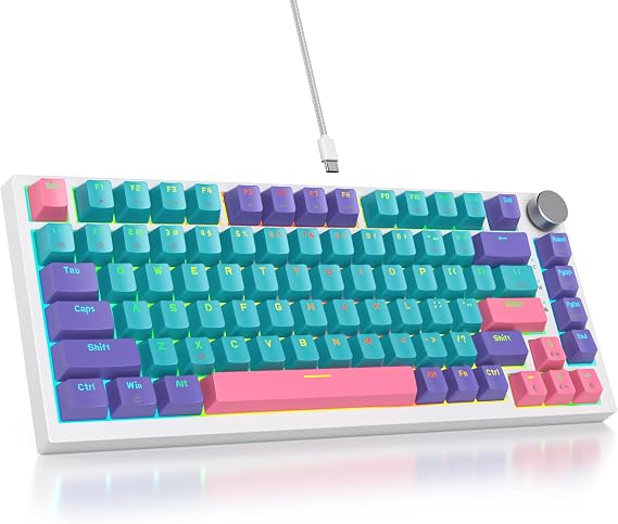 Custom Gaming Tastatur 75 Prozent Hot-Swapkabelgebundene Mechanische RGB Tastatur mit Dichtung und Schall absorbierenden Pads Programmierbare Amerikanische QWERTY V400 Joker
