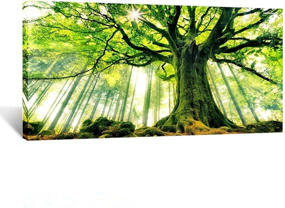 KREATIVE ARTS Canvas Large Art Print Spring Forest Nature Green Big Tree Wall Art Photo Printed on Canvas Framed Artwork for Office Wall Decoration Ready to Hang 20x40inch