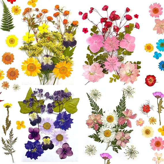 Pressed Dried Flowers,60 Pcs Colorful Dried Pressed Flowers for Crafts,Pressed Flowers for Resin,Real Dried Pressed Flowers,Mixed Multiple Natural Flowers Leaves,for Crafts Making Floral DIY