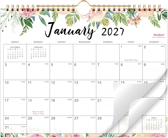 2027 Wall Calendar, Calendar 2027, Jan 2027 - Dec 2027 11" x 8.5"