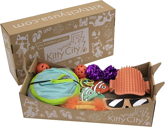 Kitty City Deluxe Cat Toy Box, Brown