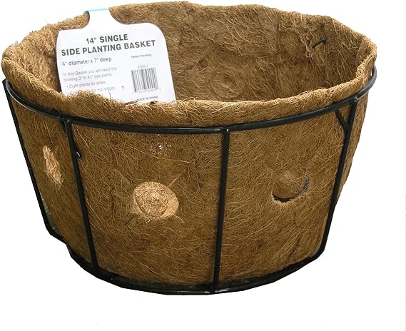 Kinsman 14 Inch Single Row Side Planting Hanging Basket with Coco Liner