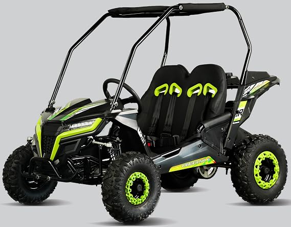 TrailMaster Cheetah 6 Youth Go-Kart - 163cc 5.5HP Engine, 4-Point Safety Belt, Remote Kill, Speed Governor, Suitable for Kids 6-12. (Plus, Green)