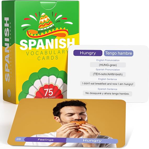 Spanish Vocabulary Flash Cards with Audio 75 Bilingual Words & Sentences