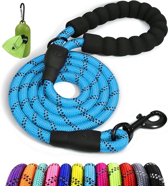 Taglory Rope Dog Leash for Small Medium Dogs, 5 FT Padded Handle, Blue | Made of Climbing Rope, Reflective for Night Walks and Training, Comfortable Grip, Anti-tangle Swivel Clip, 3/8 inch