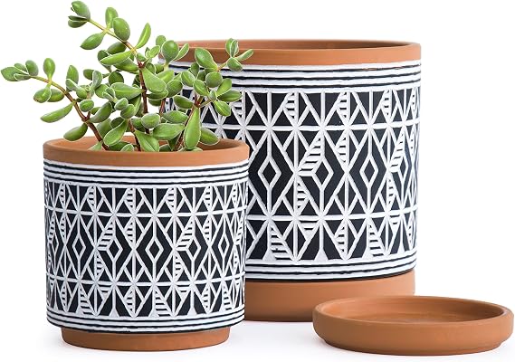 D'vine Dev 2-Pack Terracotta Pots, 4/6 in, Terra/Black, 31-958-G-2 | Hand-Painted Pattern, Natural Clay Texture, Artisan Finish, Drainage Hole & Saucer, Elegant Accent for Indoor Plants