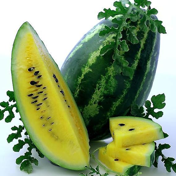 Sustainable Seed Co Mountain Sweet Watermelon Seed 1 OZ ~400 Seeds
