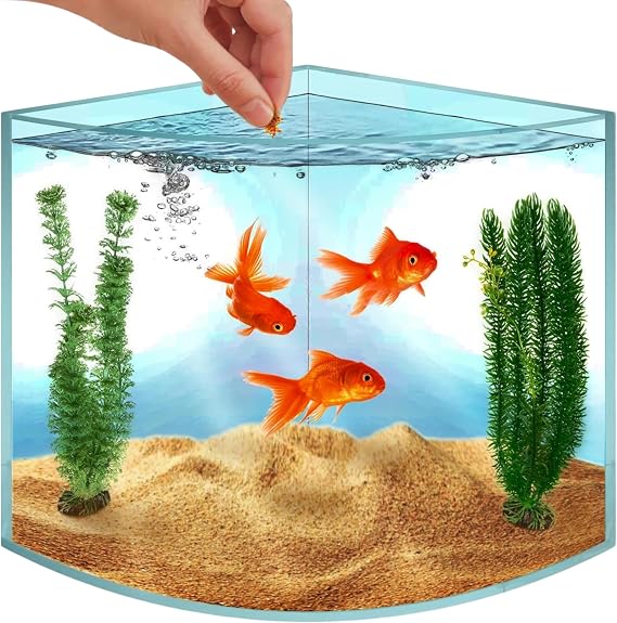 Skywin Acrylic Aquarium Tank Corner | Small Aquarium for Real Fish Clear Seamless Corner Aquarium for Small Fish Shrimp and Plants