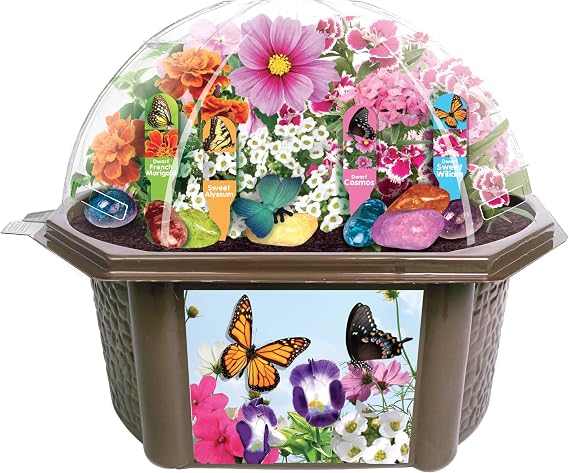 Toys by Nature Biosphere Terrariums Grow Your Own Bountiful Butterfly Garden