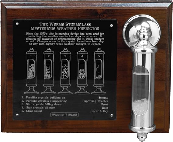 Weems and Plath Stormglass with Display
