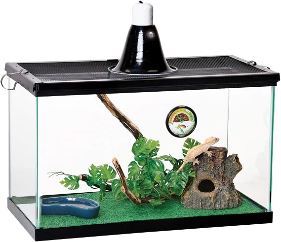 Zilla Tropical Starter Kits