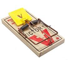 Victor 12 Easy Set Rat Traps Rat Snap Trap Quick Trapping of Rats M326