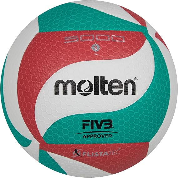 Molten Volleyball