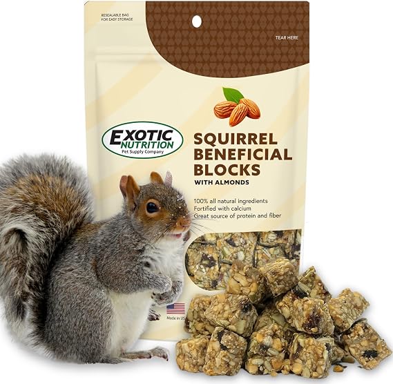 Exotic Nutrition Squirrel Beneficial Blocks - Healthy & Unique Supplemental Food with Nuts & Seeds, 10 oz
