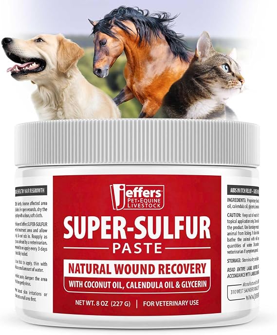 Jeffers Super Sulfur Natural Healing Paste for Dogs, Cats & Horses 8 oz Wound Care, Skin & Coat Support for Animals, Soothes Itching & Inflammation, Dry Rough Flaky Skin, Hot Spots, Paw, Hoof Care