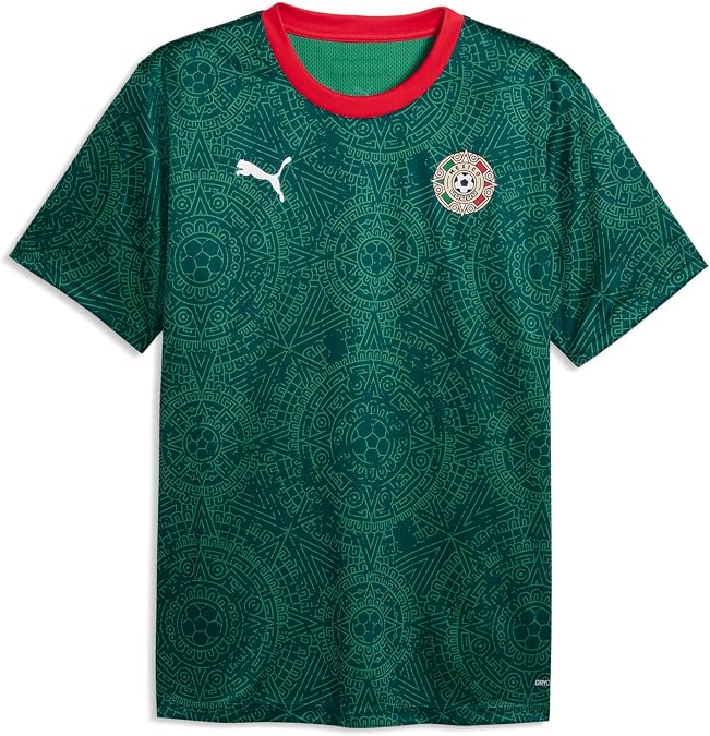 PUMA Men's Fanpack Jersey