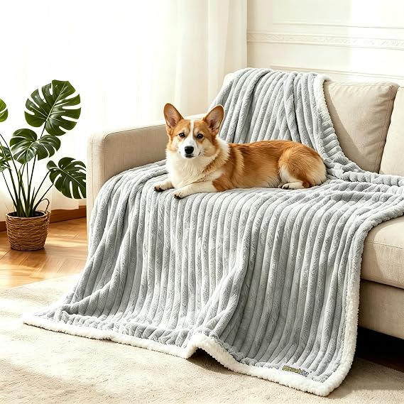 Waterproof Dog Blanket Warm Grey 40x50 in
