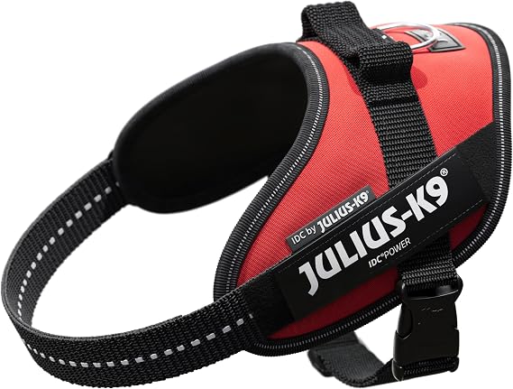 Julius-K9, 16IDC-R-M, IDC Powerharness, Dog Harness, Size: Mini, Red