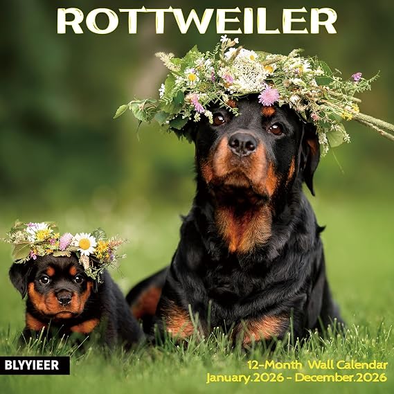 2026 Wall Calendar,ROTTWEILER Wall Calendar, 12" x 24" Open,Family Planner Calendar Organizer with ROTTWEILER Images, for Dogs Lovers