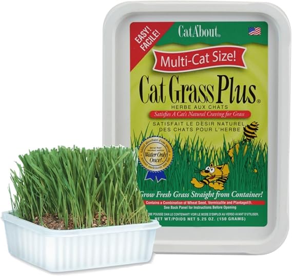 Miracle Care Cat A'bout Cat Grass Kit, 5.25 Ounce